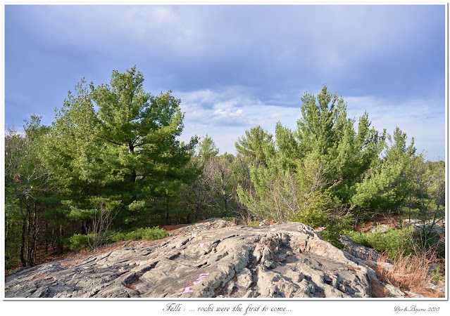 Fells: ... rocks were the first to come...