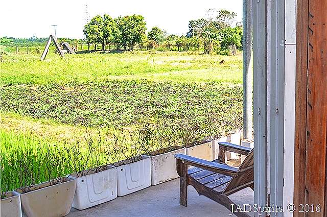 The farmhouse with old toilet bowls as planters and the view of the farm