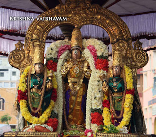 Narasimhar Swamy,Theliya Singar,Parthasarathy Perumal,Thiruvallikeni