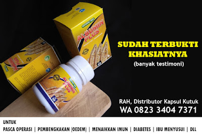 jual kapsul kutuk di apotik medan solo sidoarjo