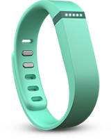 Fitbit Flex Wireless Activity and Sleep Tracker_green