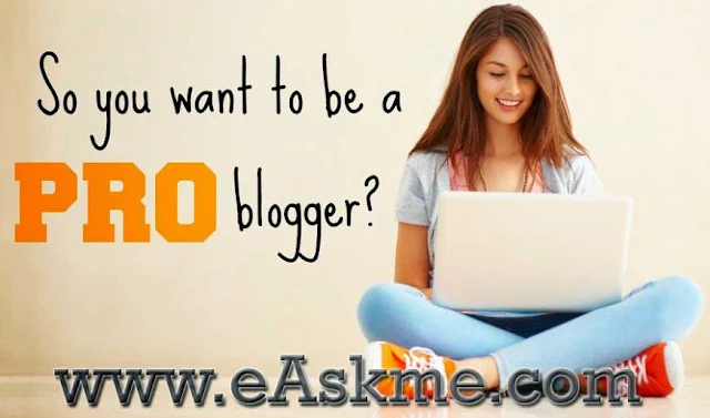 Why You Can`t Make Money Blogging Like ProBloggers : eAskme