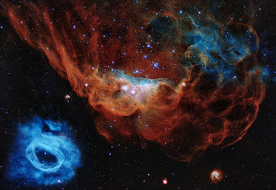 صورة للسديم الأحمر العملاق NGC 2014 و NGC 2020 نشرتها ناسا بمناسبة مرور 30 سنة للتلسكوب هابل Hubble في الفضاء