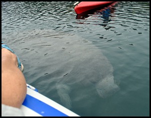 04k - kayaking - Next to kayak