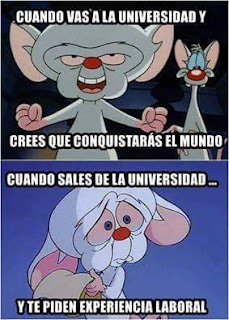 Cuando sales de la universidad