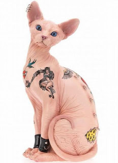 sphynx cat tattoo skin