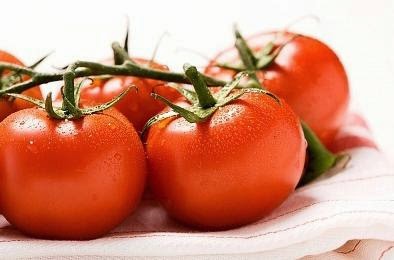 Tomate