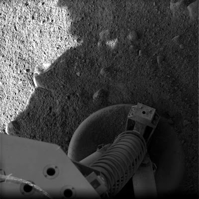 space mars lander 2008 life picture surface north pole marsian