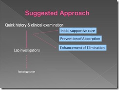 Slide4
