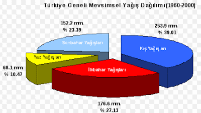 Resim