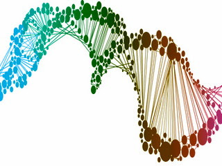 perbedaan-dna-dan-rna.jpg