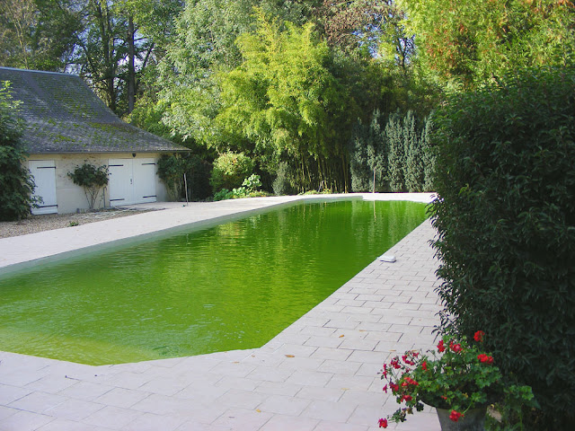 Private swimming pool. Indre et Loire, France. Photographed by Susan Walter. Tour the Loire Valley with a classic car and a private guide.