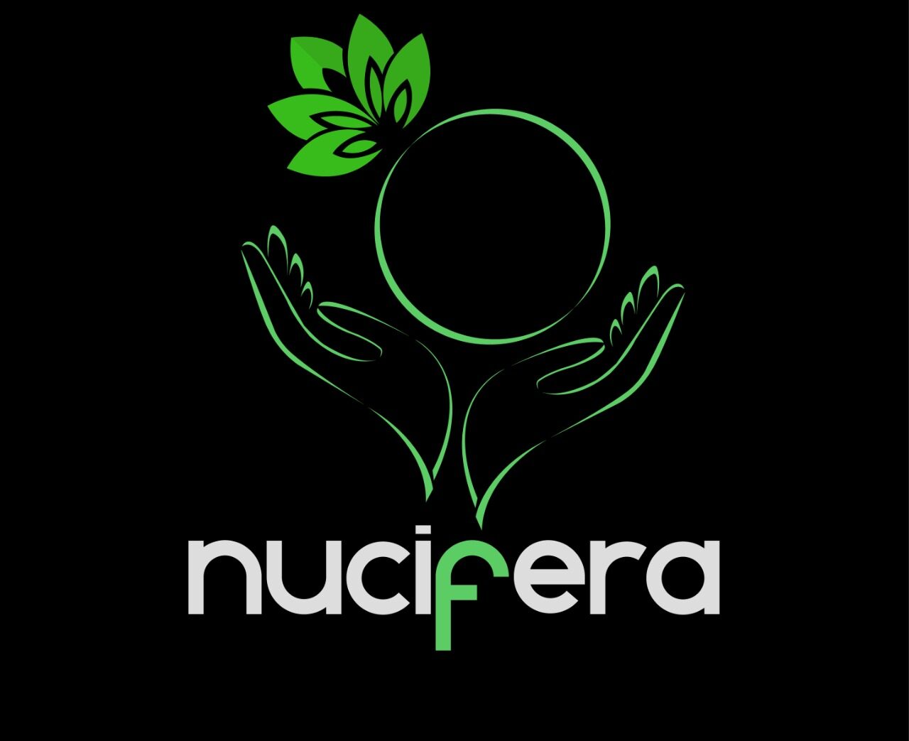 Nucifera entertainment Pvt ltd