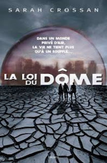 https://lacaverneauxlivresdelaety.blogspot.fr/2016/06/le-dome-tome-1-la-loi-du-dome-de-sarah.html