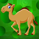 Games4King - G4K Beloved Camel Escape Game