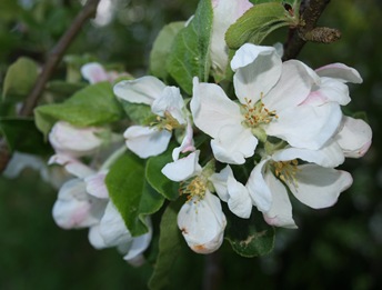 P5203571