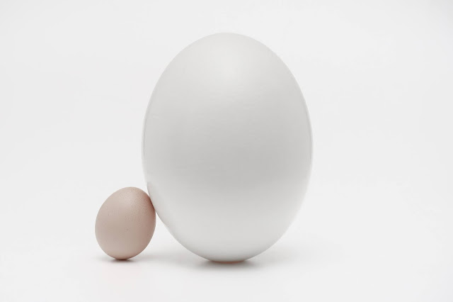 Huevos de distinto tamaño