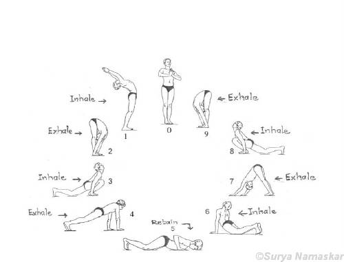 Surya Namaskar Exercise For ALL