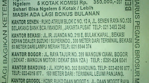 Kerja Sampingan Bisa Dibawa Pulang Su Hesbani