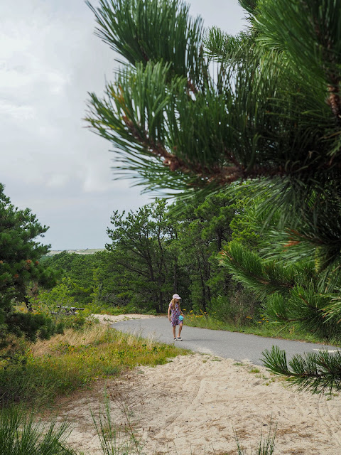 Cape Cod National Sea Shore, Massachusetts