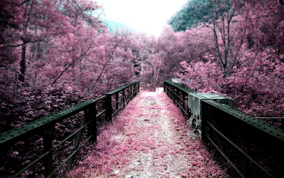 Caminos del Edén - Puentes del Paraíso