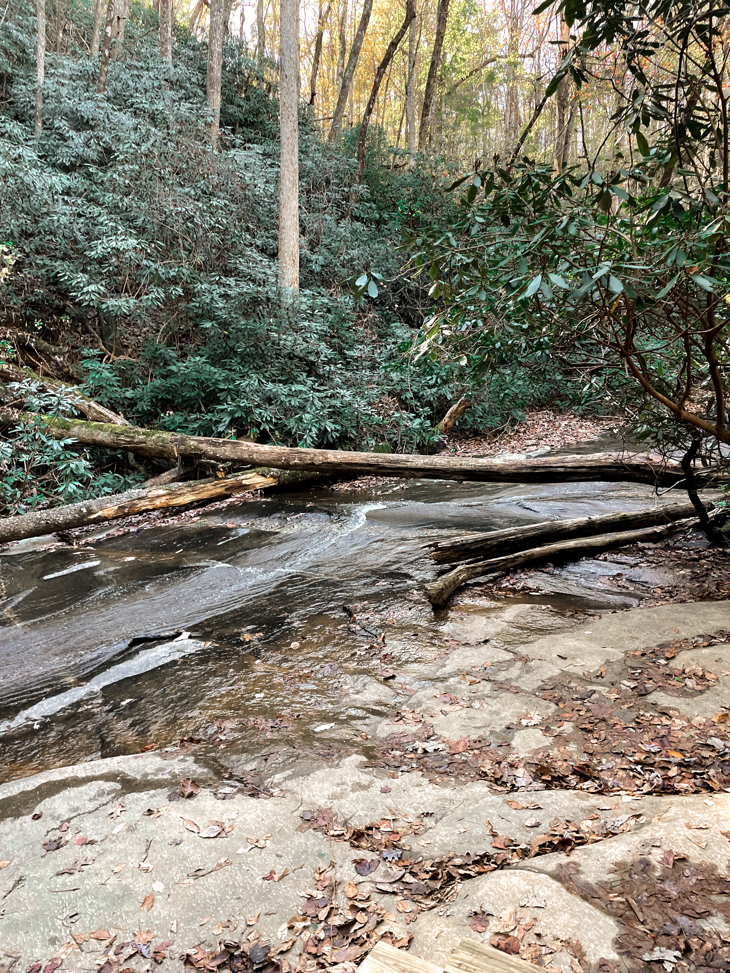 Carrick Creek Trail