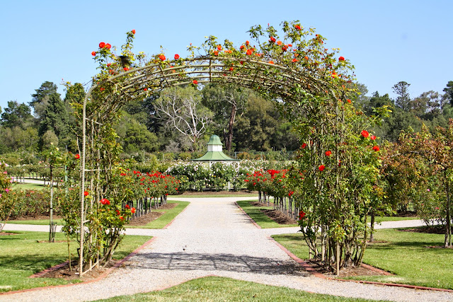 Victoria State Rose Garden, Werribee