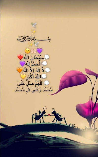 صور اسلامية