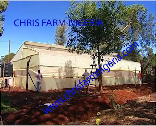  Greenhouse | Organic farm business| Business Plans |Profitable Agro Project