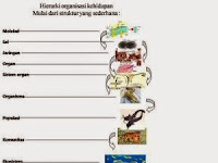   Struktur Organisasi Kehidupan dari Tingkat Molekul Hingga Biosfer