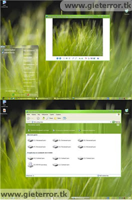 download tema xp, download tema windows, tema untuk xp, theme windows xp, theme xp, download theme xp, theme for xp, thema windows xp, theme for xp, theme pc, tema xp terbaru, theme windows xp, Download Grass Theme for XP
