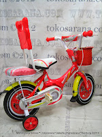 16 Inci Erminio 1299 Rest Kids Bike