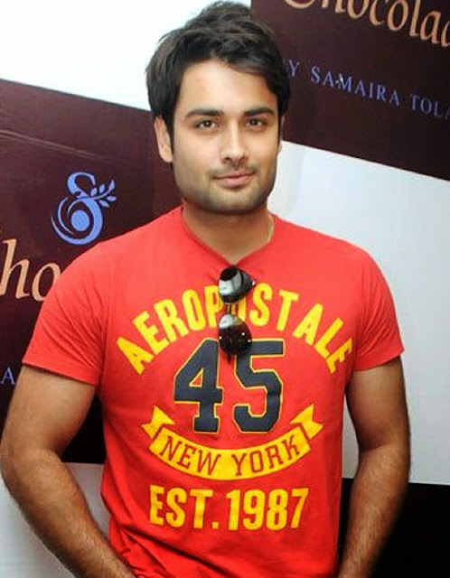 Vivian Dsena HD Wallpaper