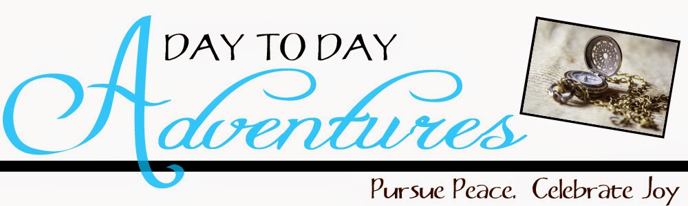 www.daytodayadventures.com