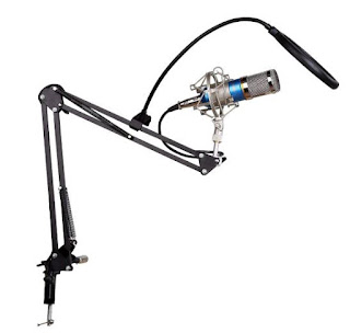 Floureon BM-800 Condenser Microphone + Pop Filter Wind Screen + Arm Stand with XLR Male to XLR Female Microphone Cable for Studio Recording (Blue)