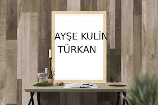 Ayşe Kulin Türkan Tek ve Tek Başına Kitap Özeti