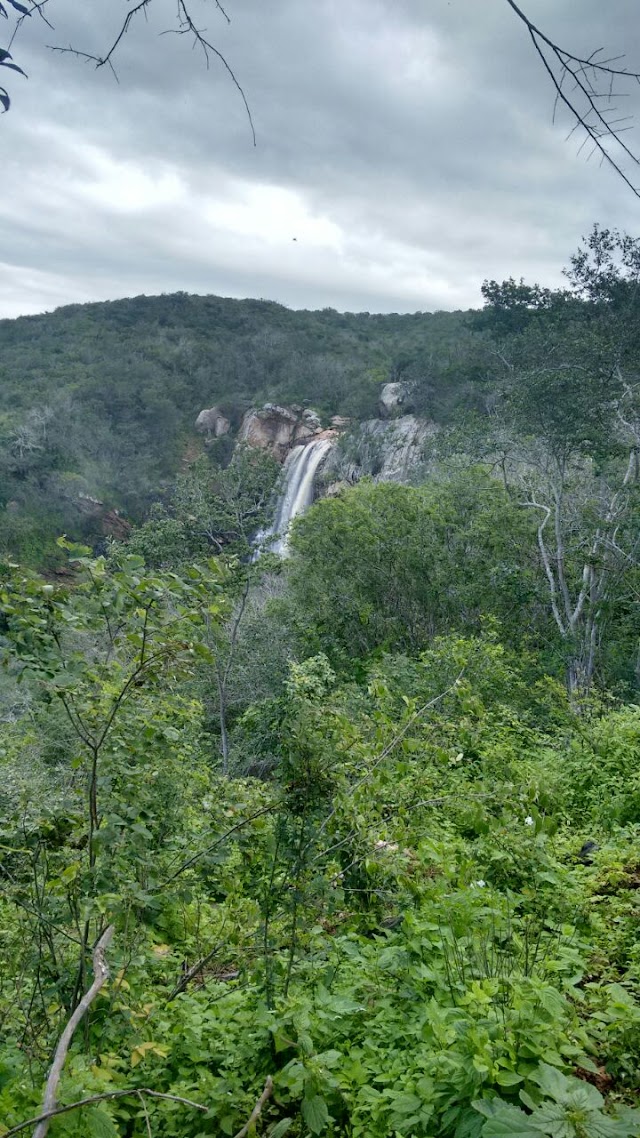 AS BELEZAS NATURAIS DO AGRESTE MERIDIONAL DE PERNAMBUCO 