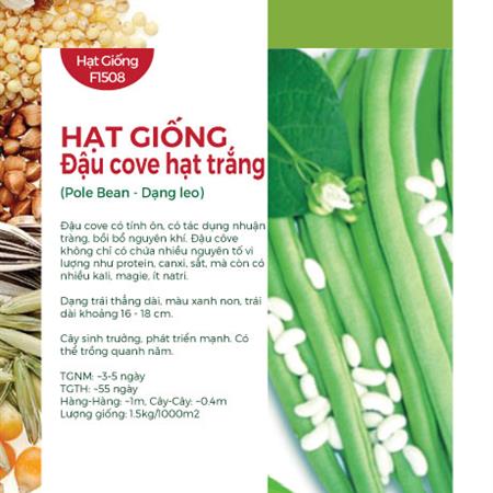 Hạt giống Đậu cove hạt trắng 492AQ - Dạng leo