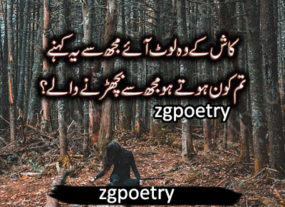 www.zgpoetry.blogspot.com