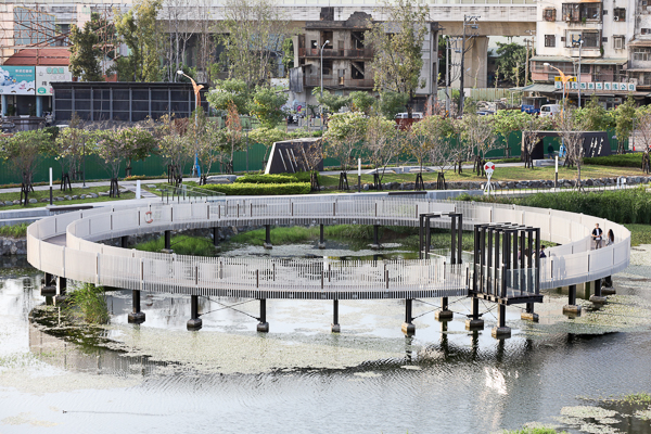 台中湧泉公園星泉湖賞愛心水草和水鳥，文明之基和滿月指輪好好拍