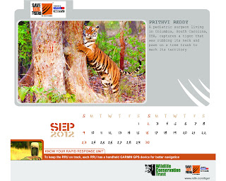 NDTV Save the Tiger Calendar