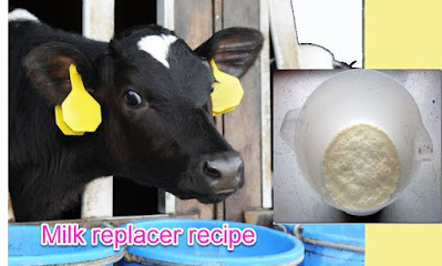 Milk Replacer recipe