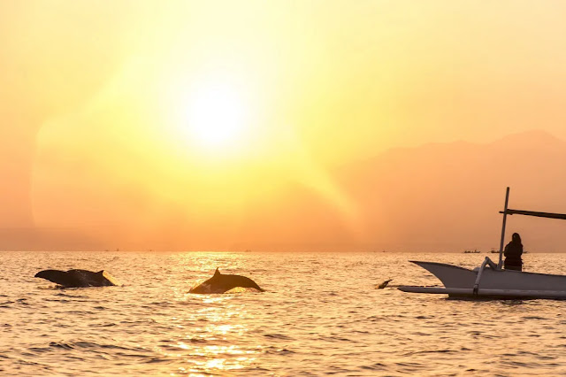 saat sunset dan menyaksikan lumba-lumba di Pantai Lovina Bali