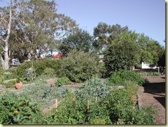 DSCN0009