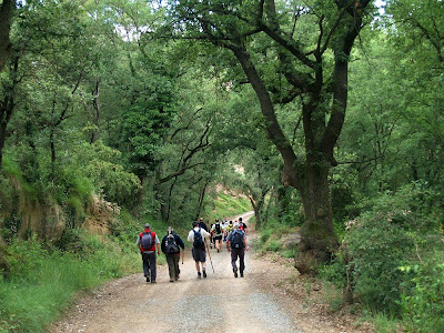 Camí de Malniu