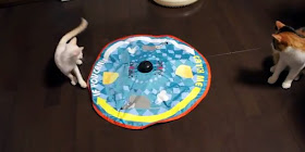 ネコのおもちゃ
