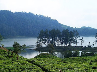 Indahnya Danau Parahyangan, Danau Patenggang