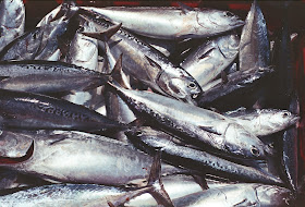 http://ec.europa.eu/fisheries/index_en.htm