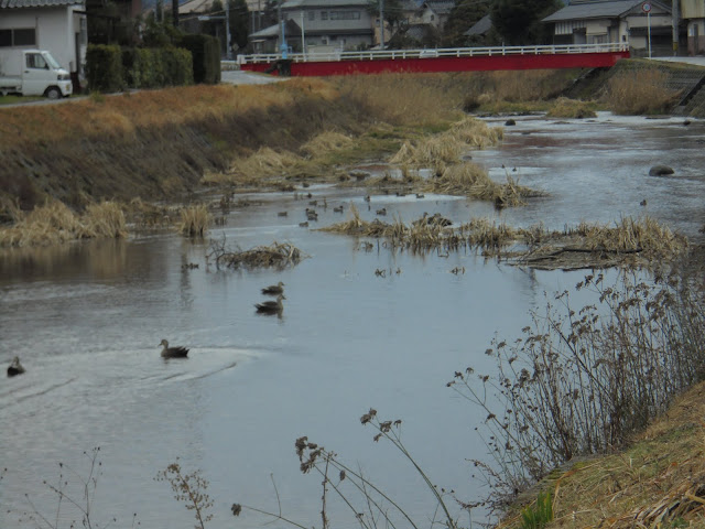 野本川