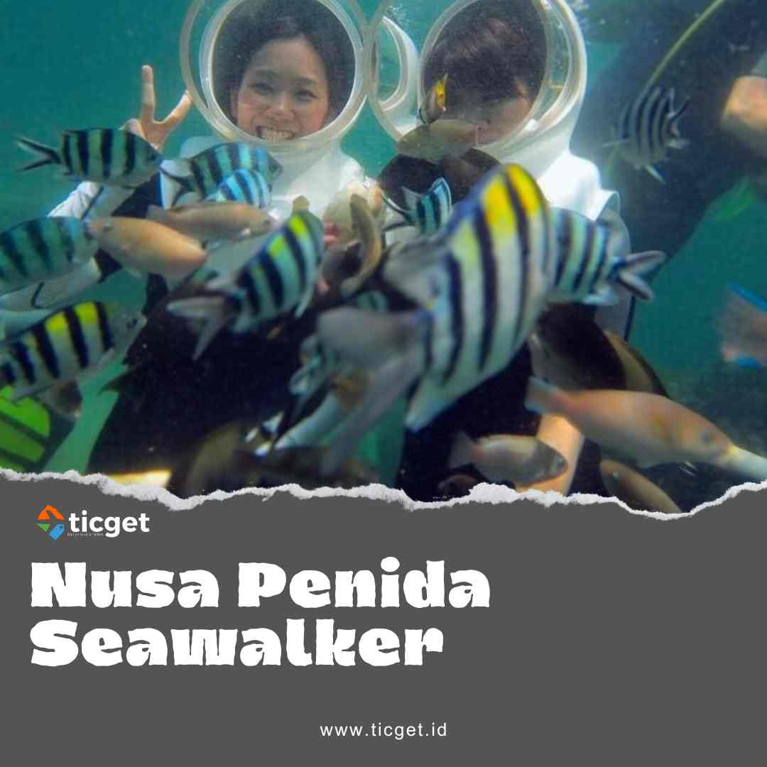 seawalker-package-at-nusa-penida-to-enjoy-virgin-coral-reefs